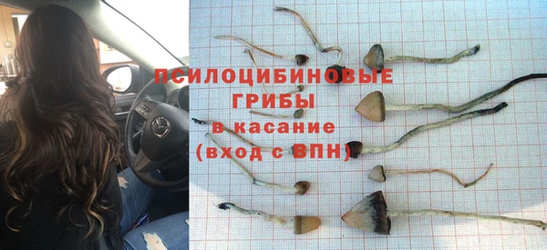 ПСИЛОЦИБИНОВЫЕ ГРИБЫ Аркадак