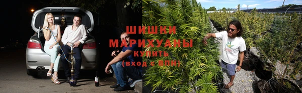 ПСИЛОЦИБИНОВЫЕ ГРИБЫ Аркадак