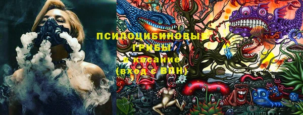мяу мяу мука Арсеньев