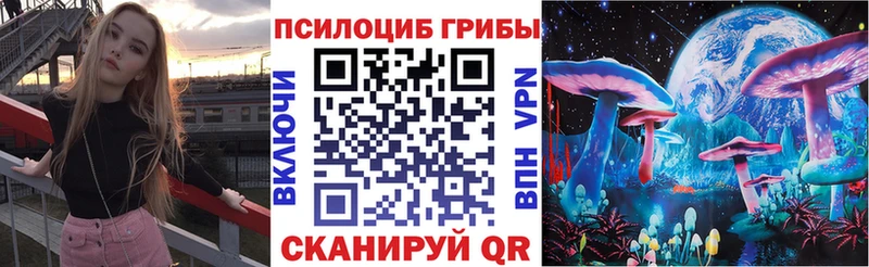 купить наркоту  Бавлы  Галлюциногенные грибы Magic Shrooms 