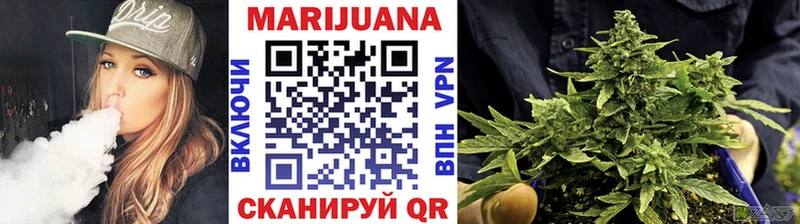 Канабис сатива  Бавлы 